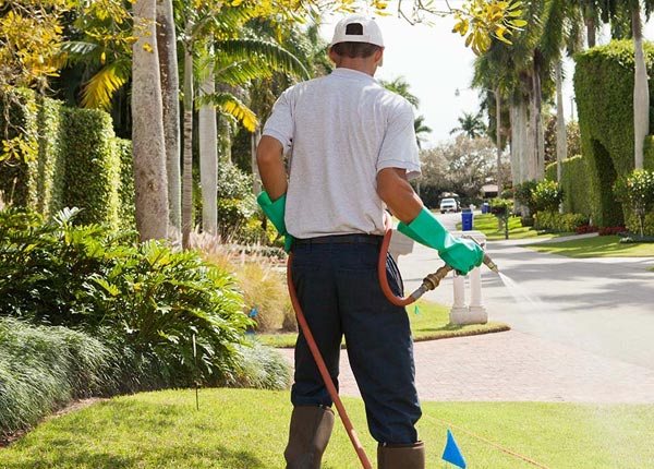 About Brasher Falls NY Pest Control